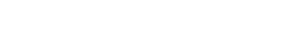 LadderPro