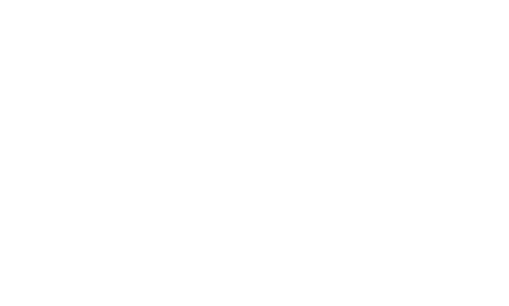 REISE